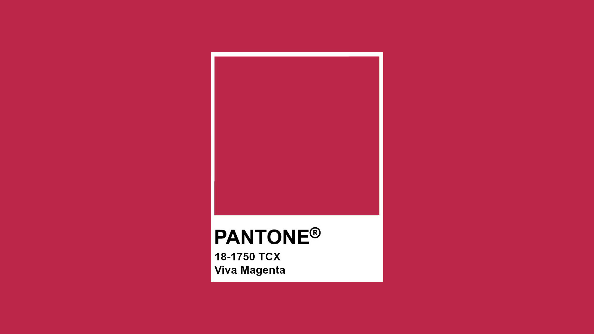 couleur viva magenta de Pantone